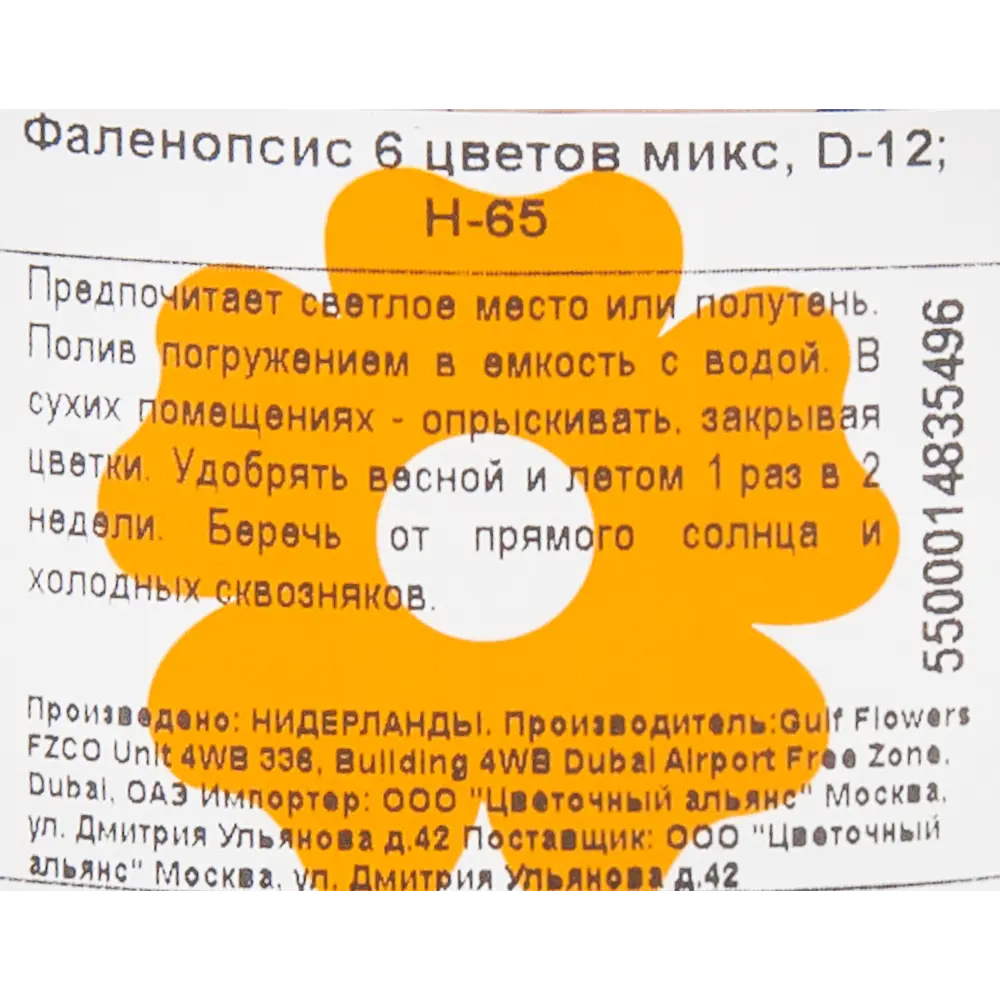 Орхидея Фаленопсис 6 цветов микс ø12 h65 см 84450713 STLM-2163041 Santreyd  - Вид №2