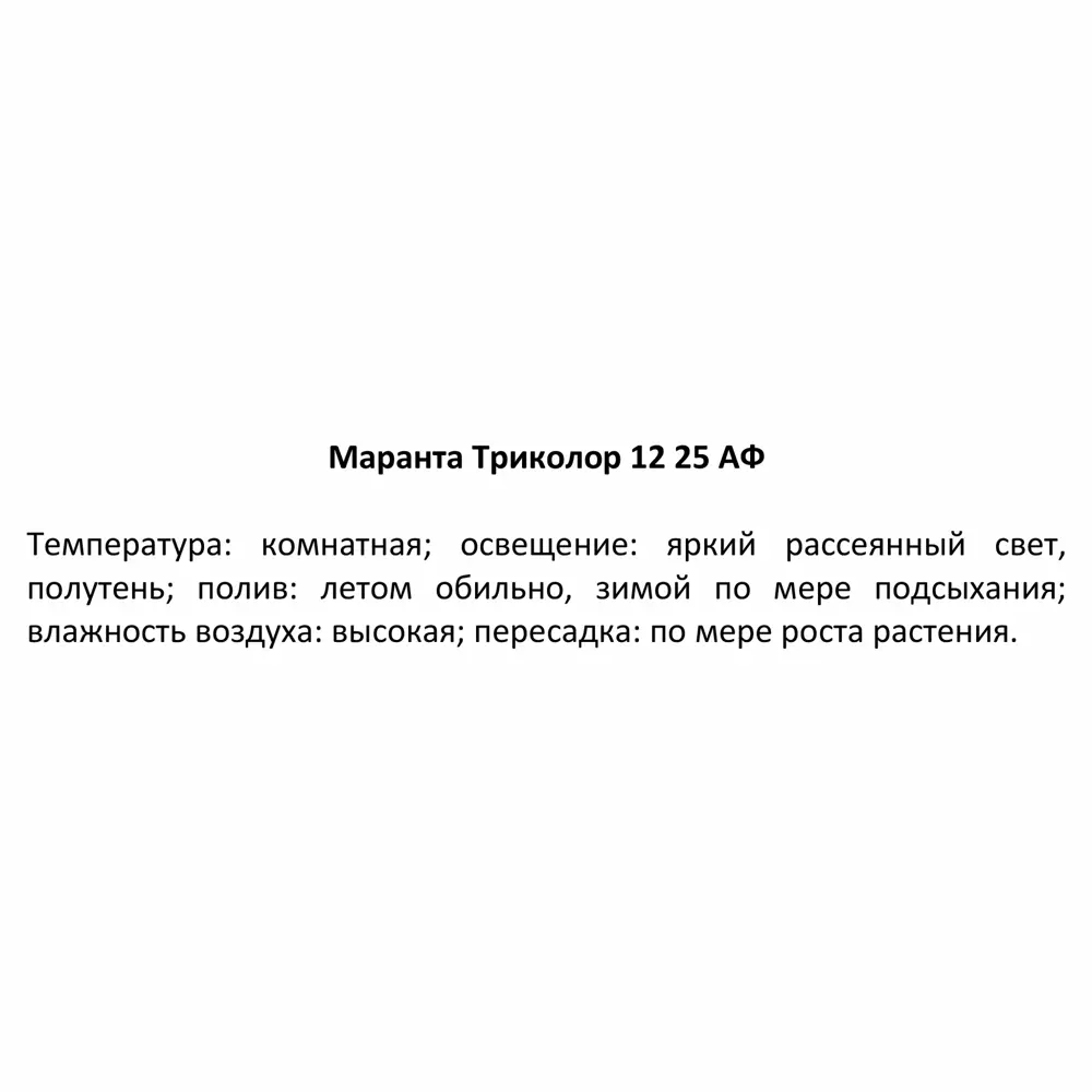 Santreyd Маранта Триколор — живой узор в вашем интерьере 85324957 STLM-0061522 - Вид №3