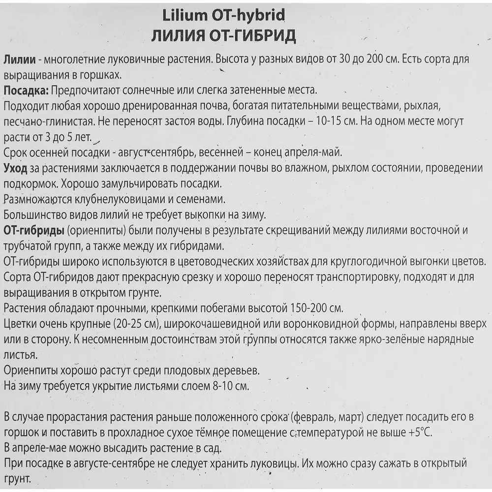 Лилия от-гибрид Ред Хот 85205723 STLM-2158061 ПОИСК  - Вид №2