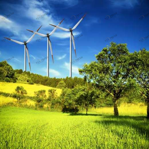 WP02492 Фотообои Verol Фотообои decoline 1х1 м