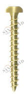Винт TM 02 50 035 TM02 Tecfi 5 х 35 
