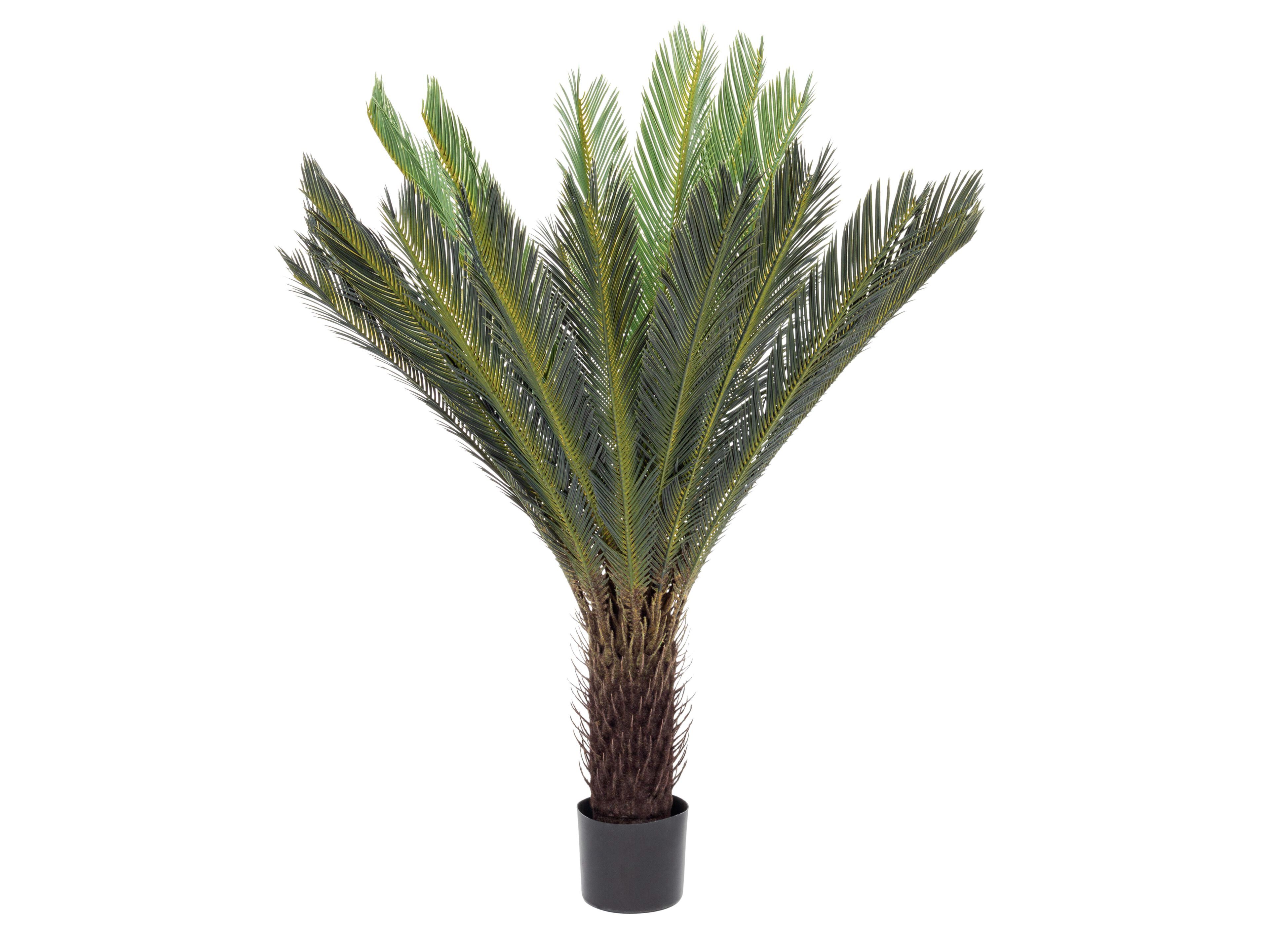 Искусственное растение BIZZOTTO PALMA CYCAS H120 ARCH-00073704