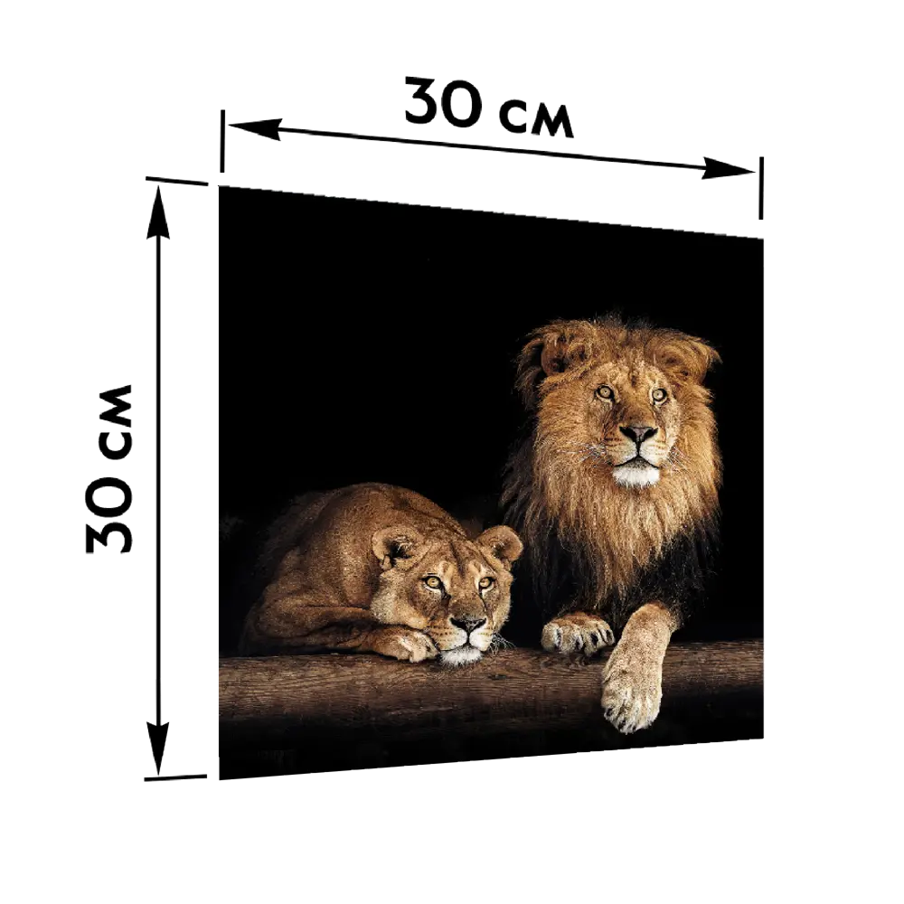 88734192 Картина на стекле Postermarket Лев 30x30 см STLM-1430595 Santreyd  - Вид №4