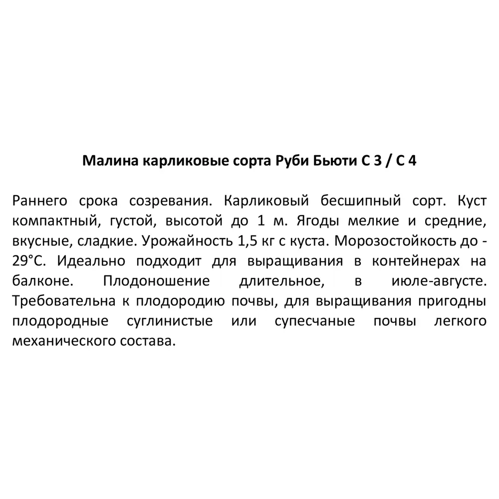 Santreyd Малина Руби Бьюти карликовая ремонтантная для террас и патио 87811899 STLM-0075785 - Вид №3