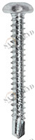Винт RK 01 39 013 RK01 Tecfi 3,9 х 13 