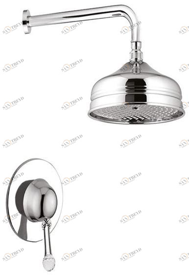 Rubinetteria Giulini Смеситель для душа на 2 отверстия с лейкой Symphony 4315wb