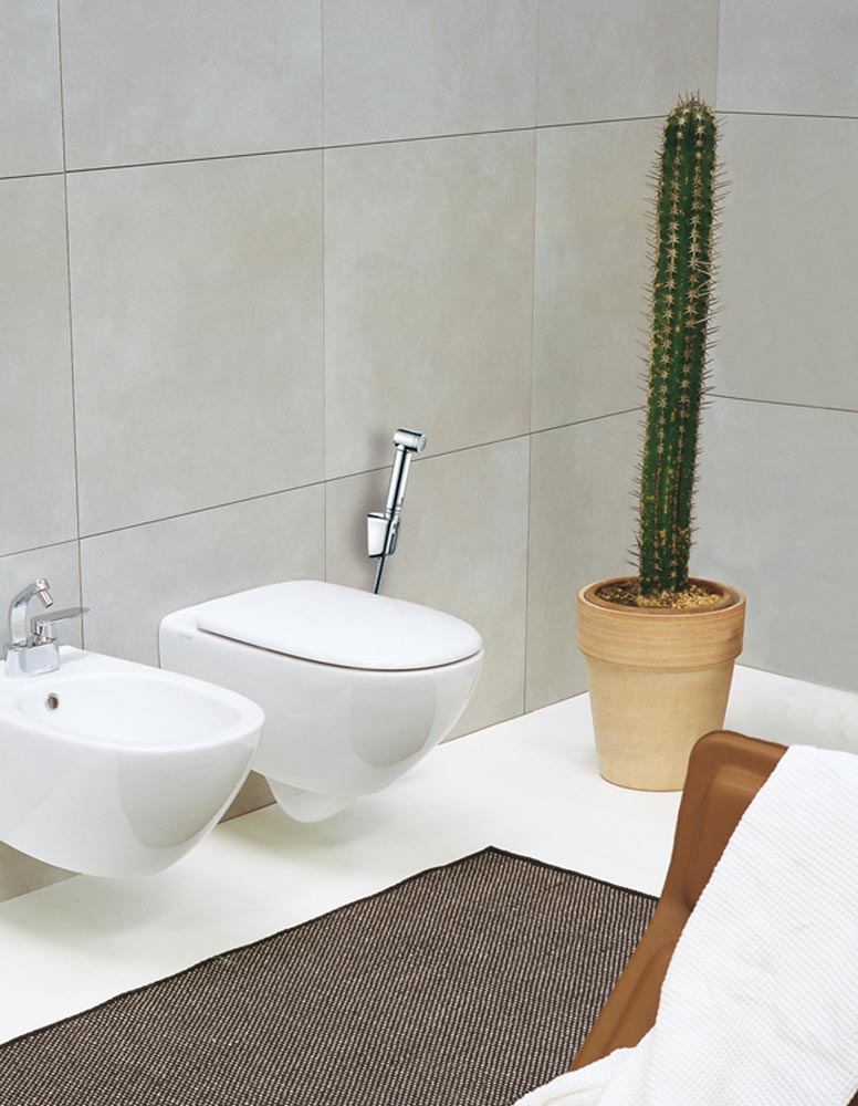 C04076 Гигиеническая лейка Alexa-Brass BOSSINI  - Вид №3