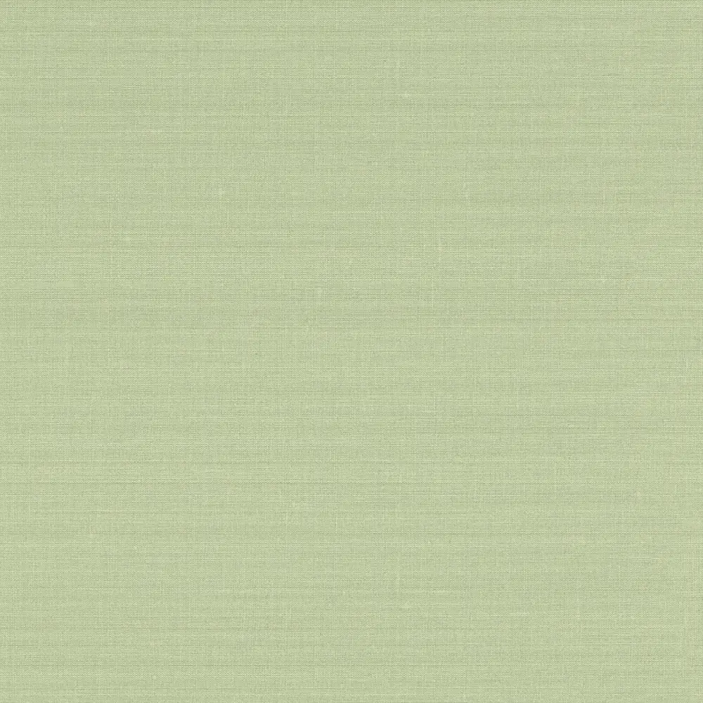Обои флизелиновые Rasch Lazy Sunday зелёные 0.53 м 401851 STLM-2194348 - Вид №1