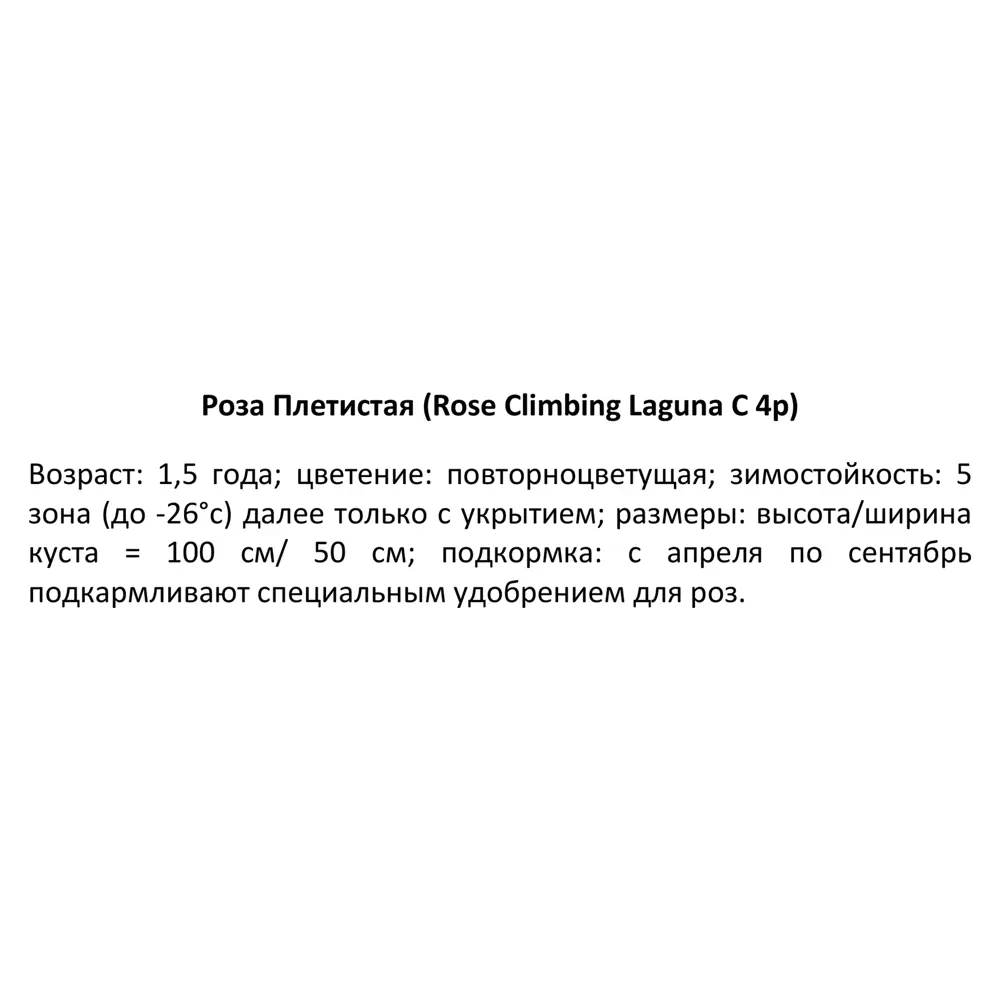 Роза плетистая Лагуна ø19 h55 см 84827464 STLM-2075508 PLANTMARKET  - Вид №2