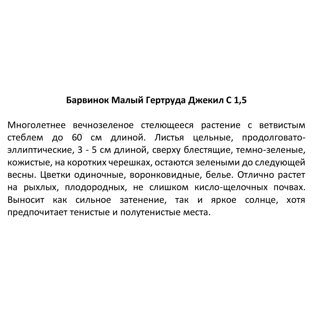 Барвинок Гертруда Джекил ø11.5 h30 см 85324860 STLM-2089814 Santreyd  - Вид №2