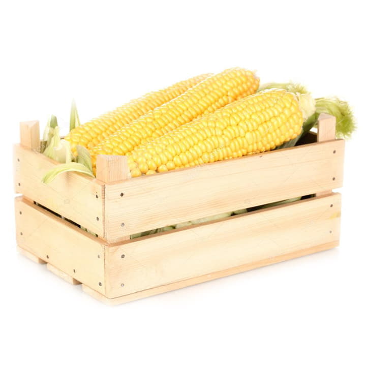 Кукуруза молодая в ящике 30 шт Santreyd 19493 - Вид №1
