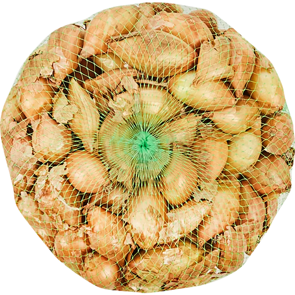 Лук-севок "Сеншуй Елоу Глоб" 900 гр ПРЕСТИЖ СЕМЕНА STLM-2146196 - Вид №1