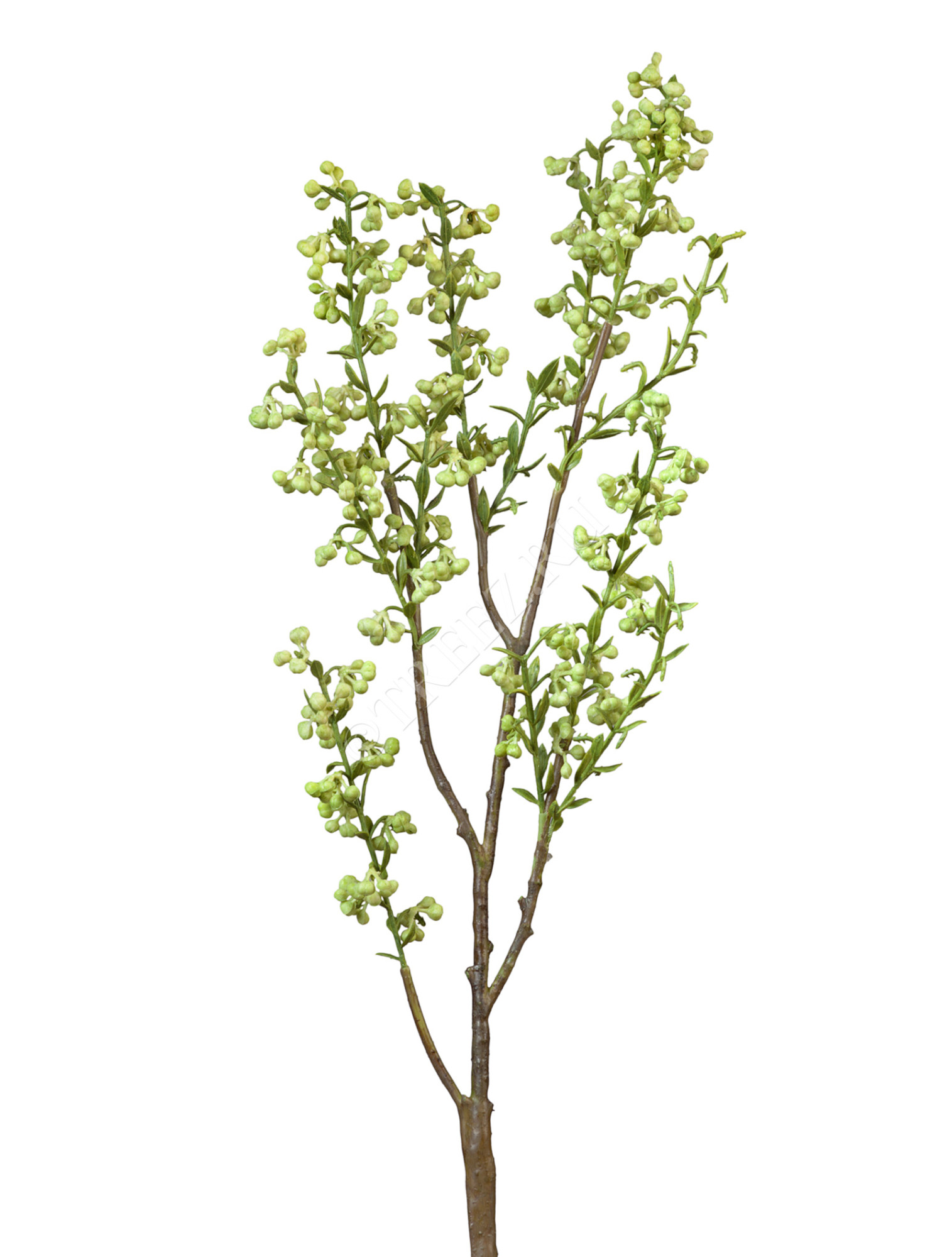 30.0613110WH Ветка с лаймовыми мини-ягодками Цветочная коллекция 