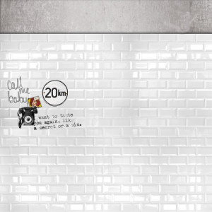 WP08051A Обои декоративные Adriani e Rossi