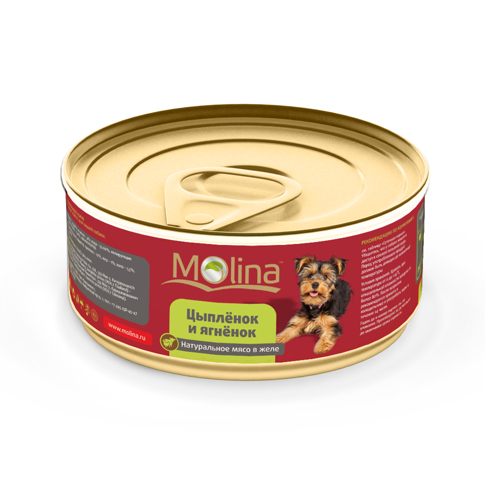 ПР0019437 Корм для собак Цыпленок с ягненком в желе, банка 85г Molina 