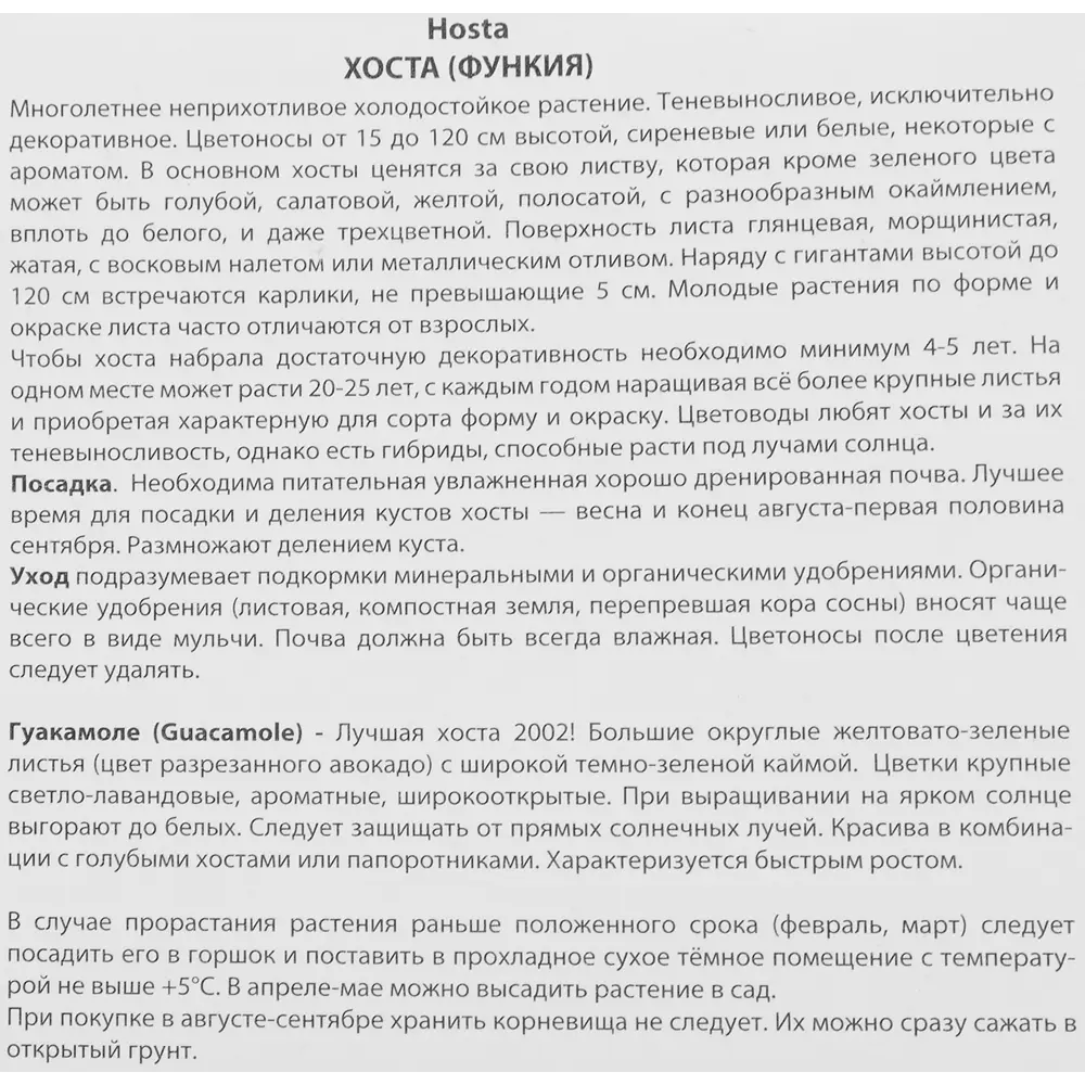 ПОИСК Хоста Гуакамоле - декоративный многолетник для тенистого сада 86410071 STLM-1563554 - Вид №2