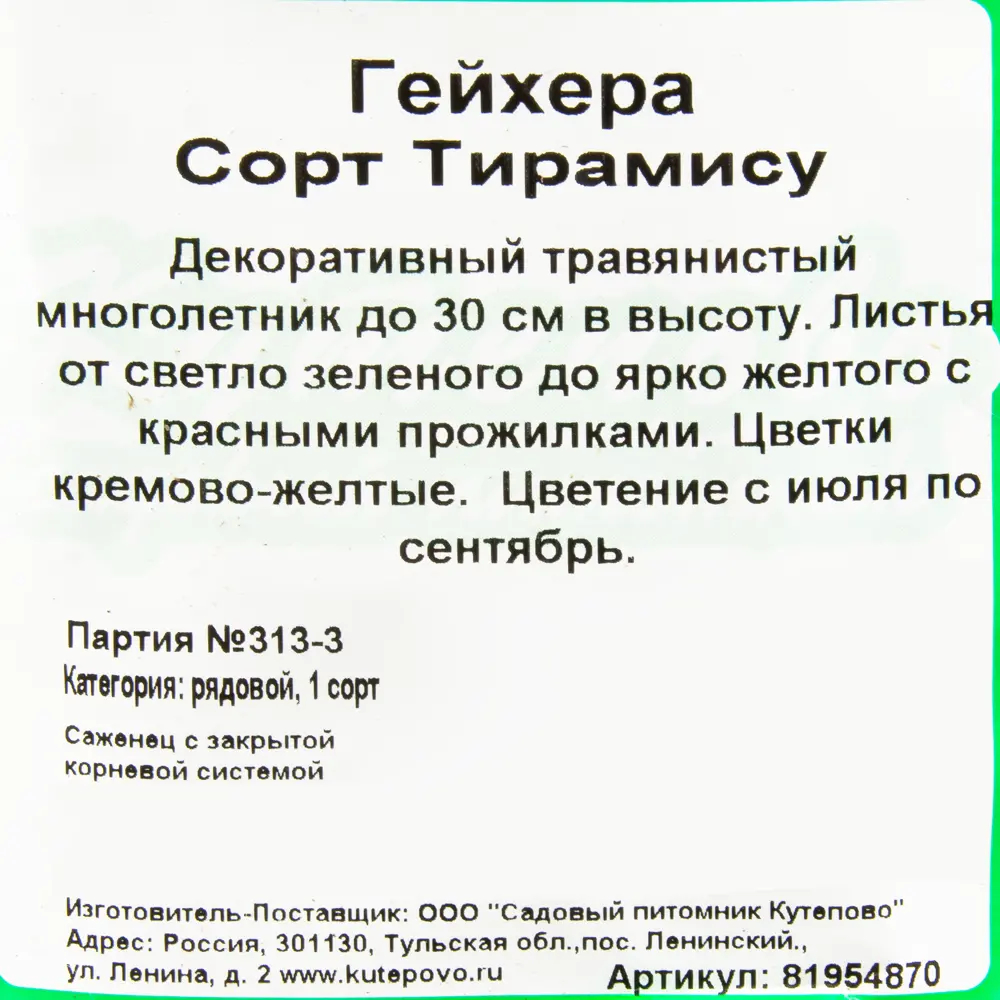 Гейхера гибридная С1 «Тирамису» h15 81954870 STLM-2088039 Santreyd  - Вид №1