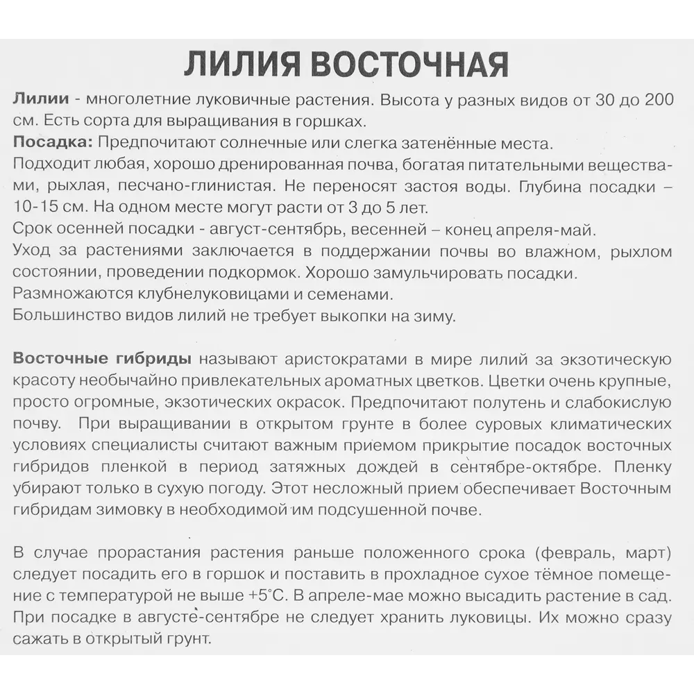 Лилия восточная махровая Лотус пьюр луковица 14/16 88294764 STLM-2208149 Santreyd  - Вид №2
