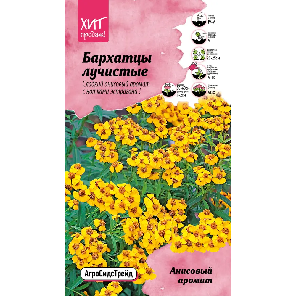 Семена цветов бархатцы лучистые Анисовый аромат 89347804 STLM-2193223 Santreyd 