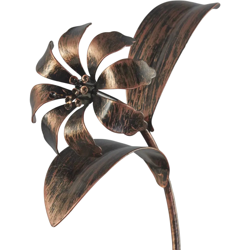 Бра Аида 1xE14x60 Вт, металл/стекло, цвет чёрный/белый MW-Light STLM-2191822 - Вид №5