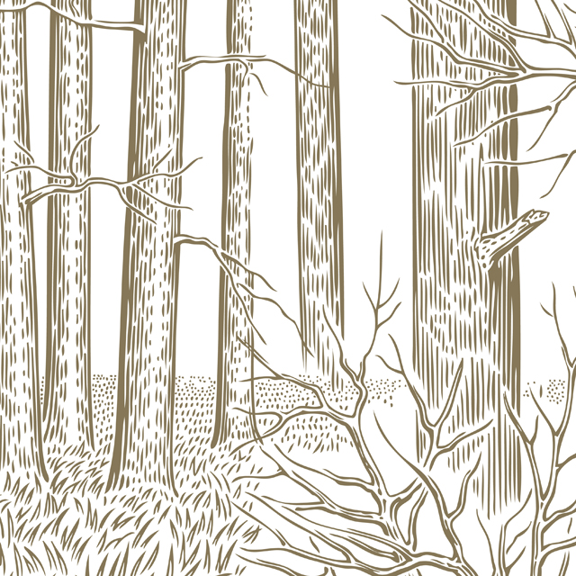 Стеновые панели - Вальдиссимо LIGRON LIST93 2320 - Вид №4