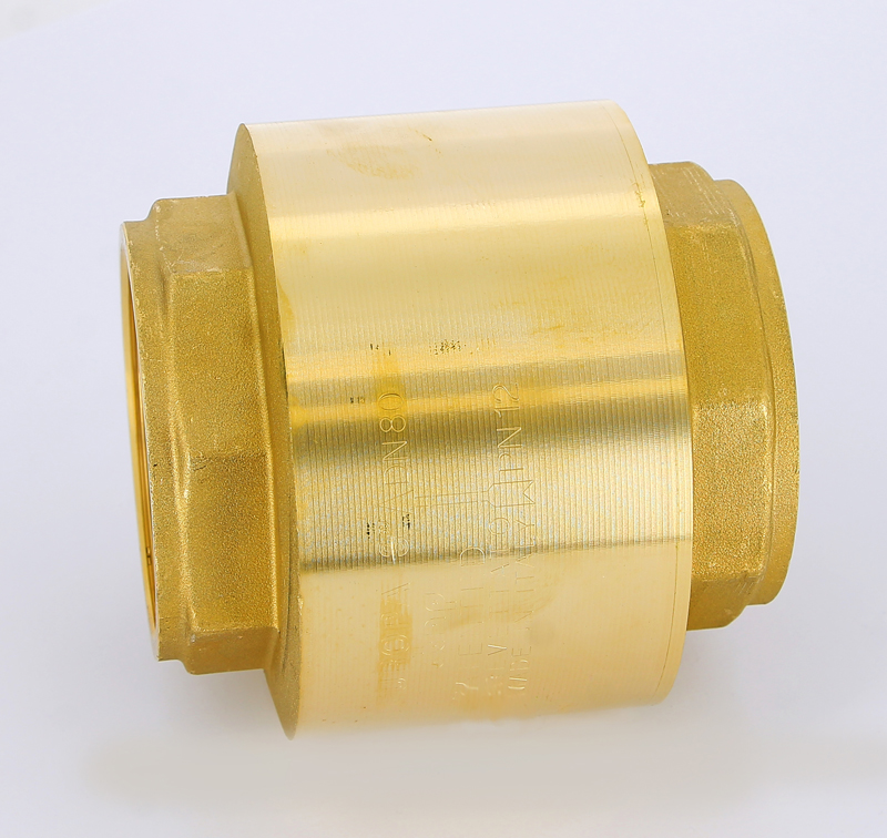 Клапан обратный пружинный EUROPA с металлическим затвором ITAP 3" 1003 - Вид №1