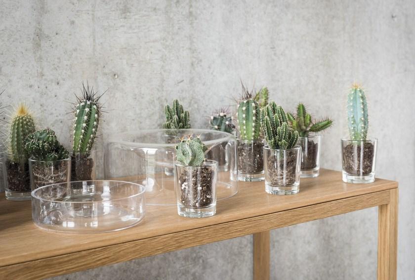 Schönbuch Шкатулка из дутого стекла Schonbuch sun-id-1430224 - Вид №3