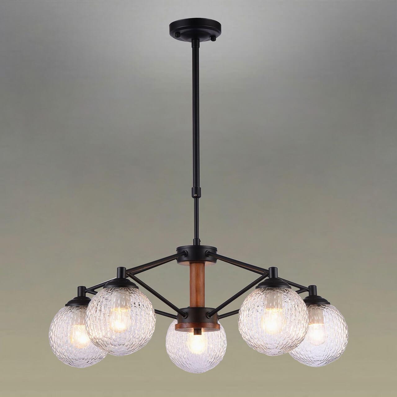 Подвесная люстра Omnilux Bitetto OML-50903-05 OMNILUX BITETTO, ШАР 220456 Черный  - Вид №1