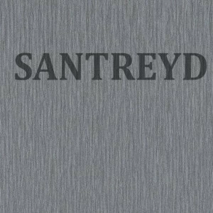 533309 Обои Rasch Berlin