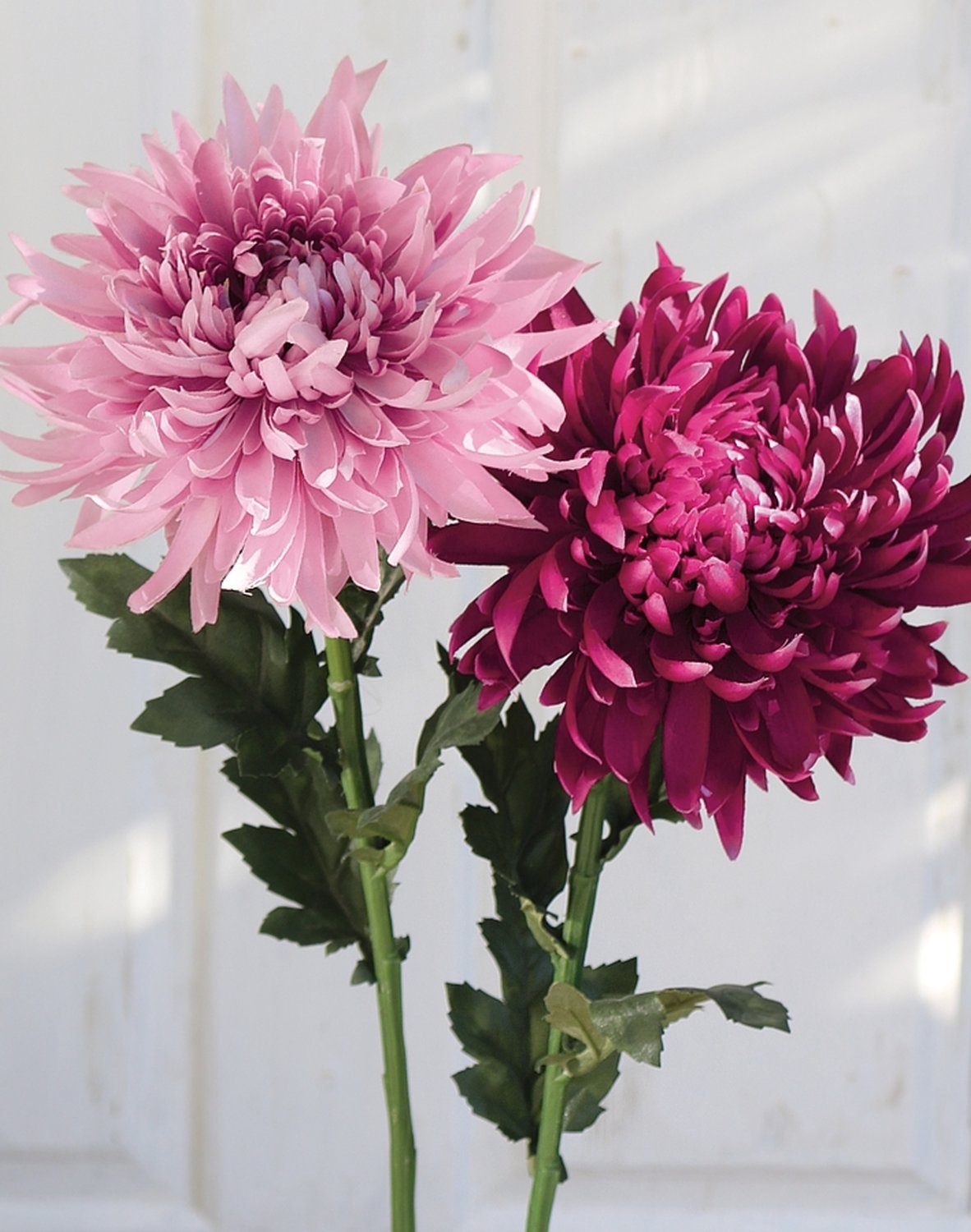 3411 299 a3 Пластиковая хризантема, 62 см, антично-темно-фиолетовый H-andreas  - Вид №2