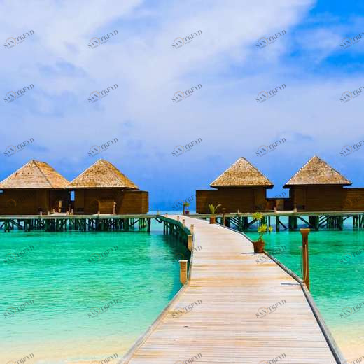 WP00782 Фотообои Verol Фотообои decoline 1х1 м