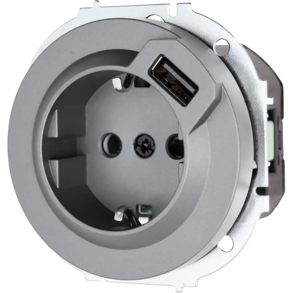 Розетка USB встраиваемая Lezard Osen с заземлением цвет серый STLM-2151915 - Вид №1