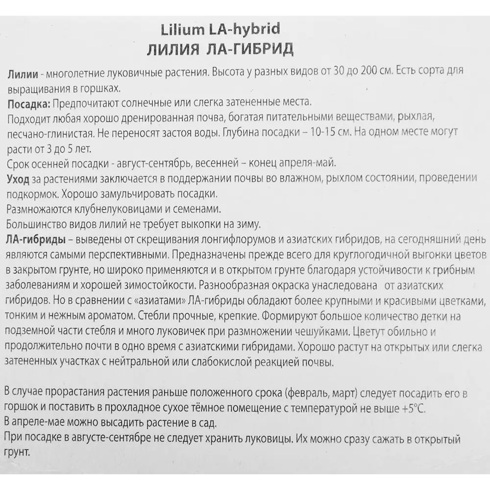 Лилия ЛА-гибрид Покерфейс 1 шт. 83588523 STLM-2168322 Santreyd  - Вид №2