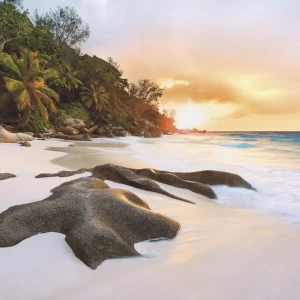 SH089-VD4-Nature Фотообои Komar Stefan Hefele 2.5х4 м