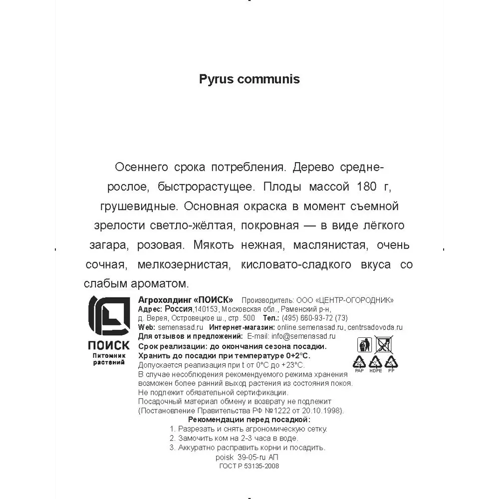 Груша обыкновенная Просто Мария h200 см в сетке Поиск Инвест 84399308 STLM-2146828 Santreyd  - Вид №2