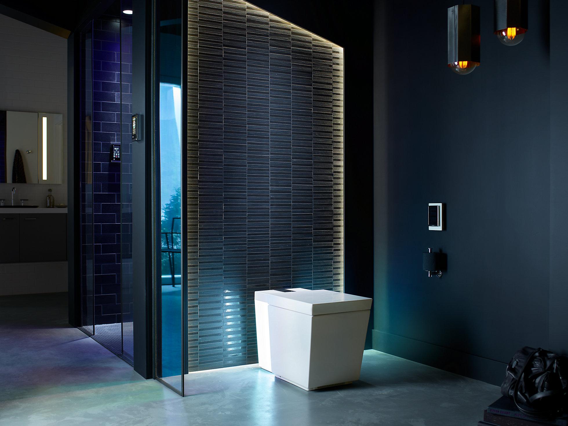 KOHLER  K-3901-NSR-0  - Вид №4