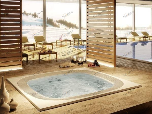 Jacuzzi® Пейзажный бассейн с 6-местной гидромассажной ванной Professional sun-id-1505614