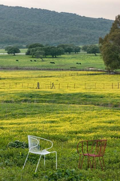 iSimar Стул с подлокотниками, штабелируемый на стальных салазках Bolonia 7207 - Вид №29