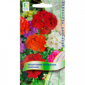 82102298 Пеларгония зональная «Колорама», 6 г
