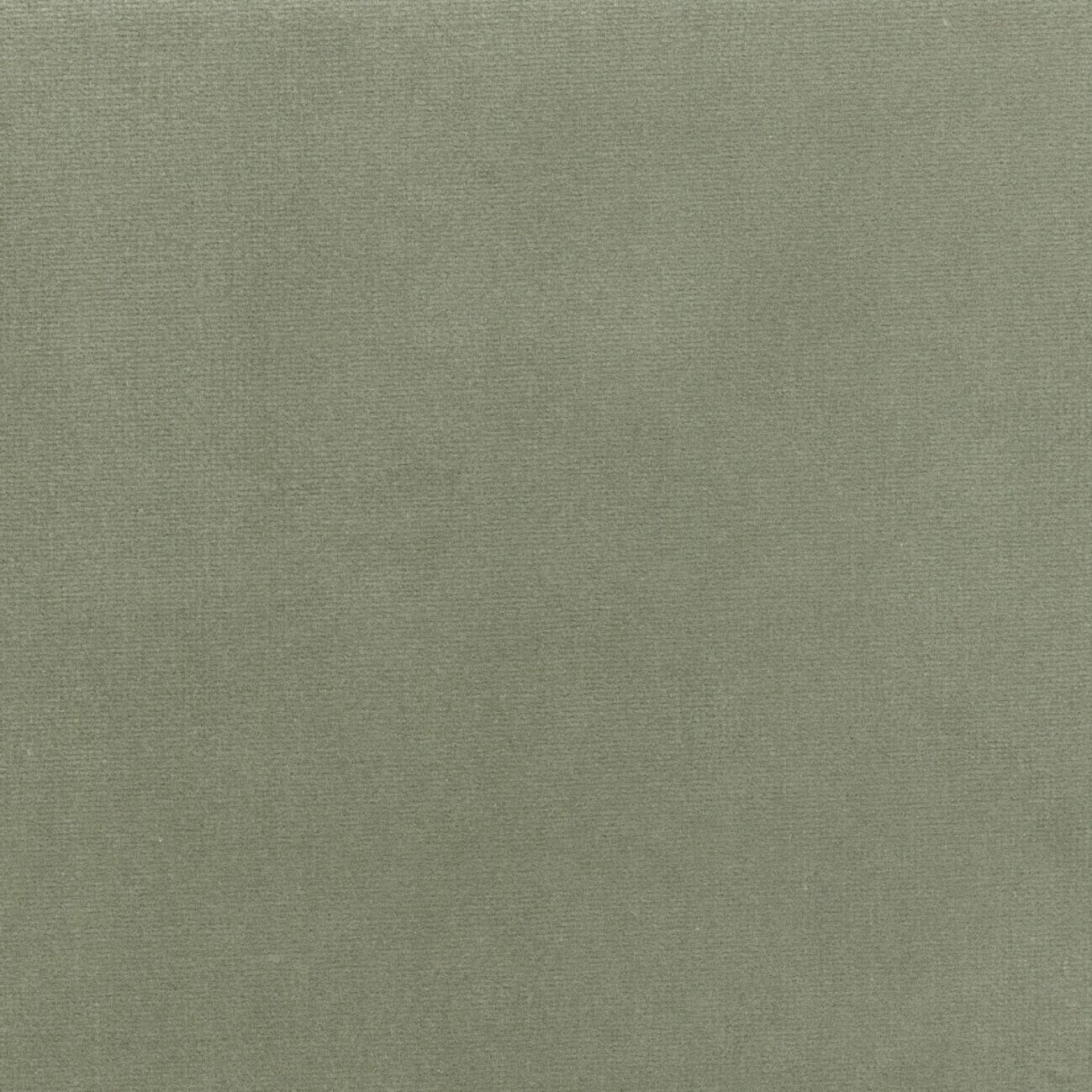 Бархатная однотонная ткань Élitis Palatine ARCH-00143253 - Вид №63