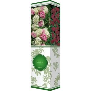 Спирея японская Северный сад Генпей 82527918 STLM-2093040