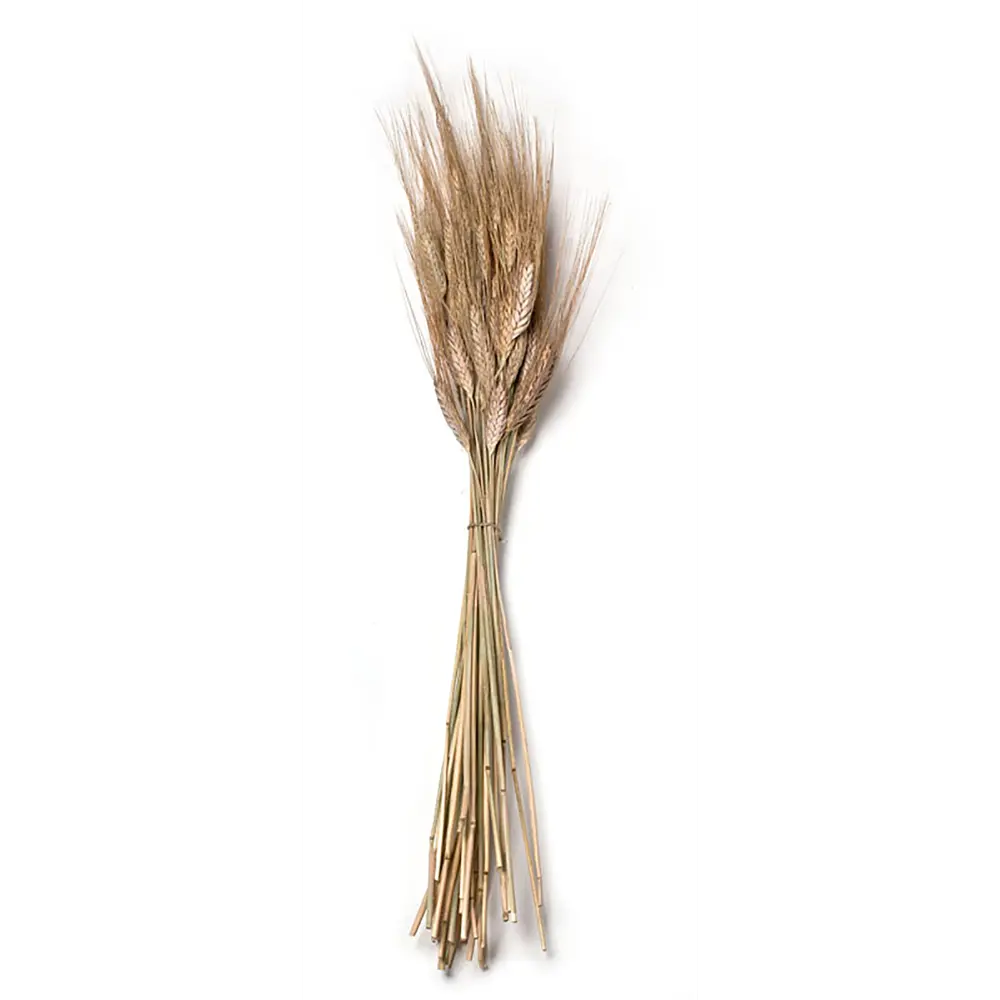Изделие декоративное Пшеница 13x73x7 см Santreyd STLM-2006737