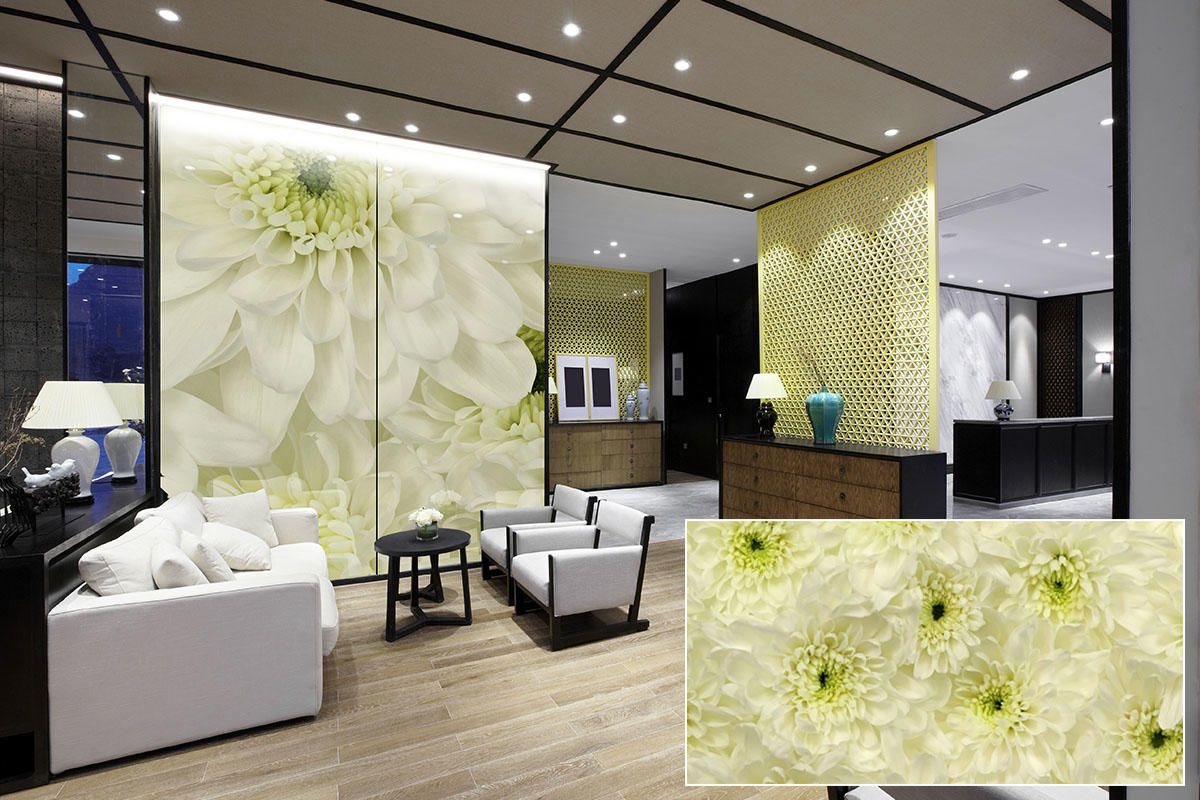 FSRT383 Зум-стекло Vivispectra с прослойкой стекла навеса  Forms-surfaces  - Вид №13