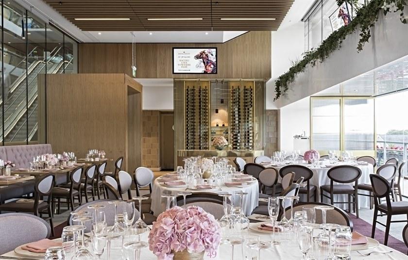 Andreu World Стул из бука с подлокотниками и открытой спинкой Zarina So1711 - Вид №4