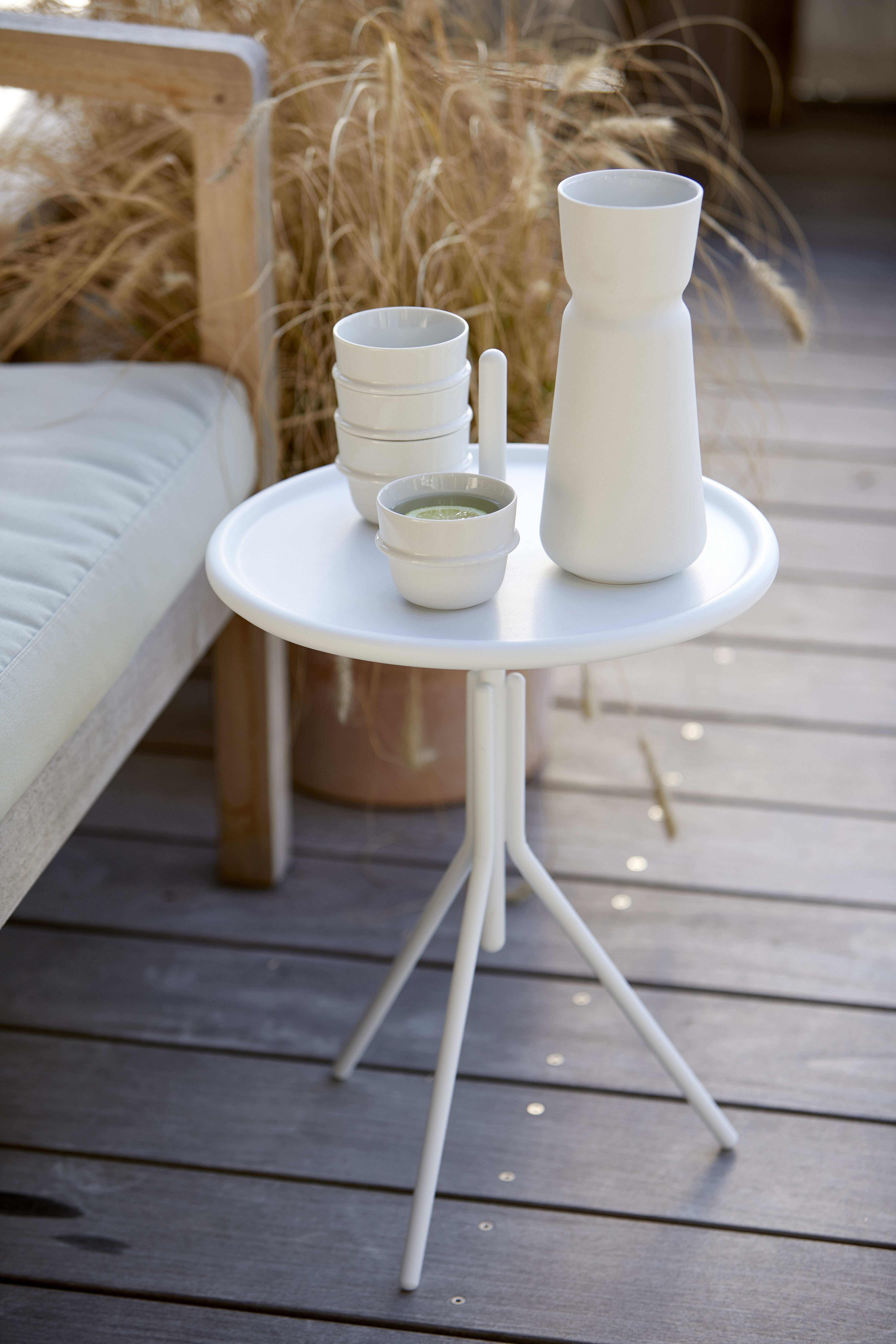 13773 Чистить Zone Denmark Inu - Вид №3