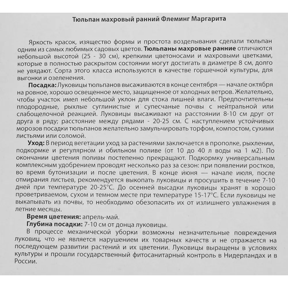 Тюльпан «Флеминг Маргарита» размер луковицы 12, 5 шт. 82665835 STLM-2070974 BLOOMING LIFE  - Вид №2