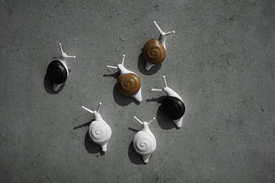 Магниты Snail, 6 шт Qualy QL10289MX - Вид №5