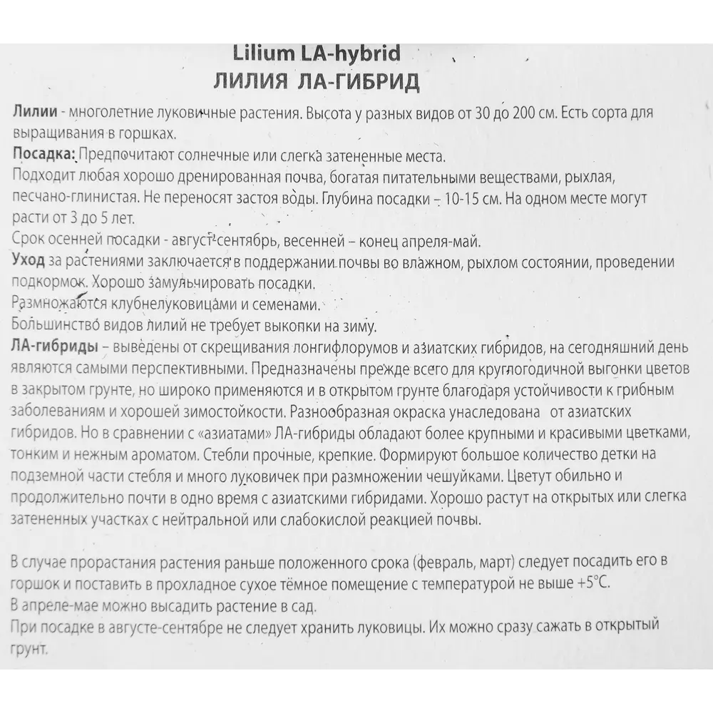 Лилия ла-гибрид Евфрат 85205747 STLM-2127286 ПОИСК  - Вид №2
