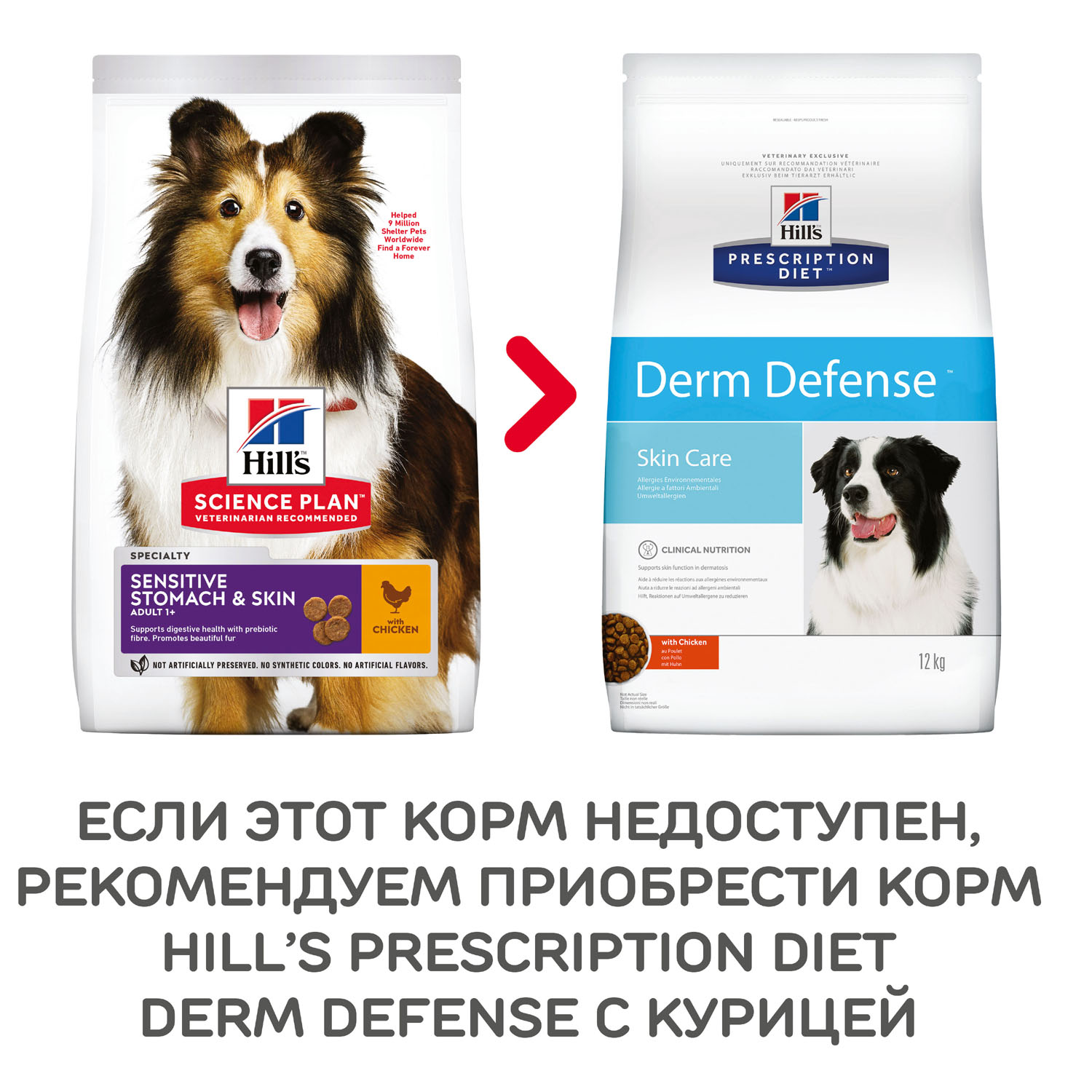 ПР0044409 Корм для собак Hill"s Sensitive Stomach & Skin c чувствительной кожей и желудком сух. 12кг Hill's  - Вид №7