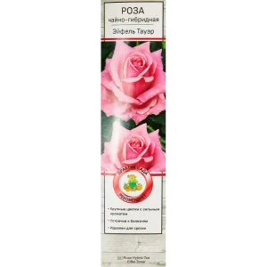 Роза чайно-гибридные «Эйфель Тауэр» 18348224 STLM-2044271